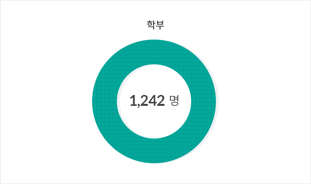 외국인 학부생 그래프 1,242명